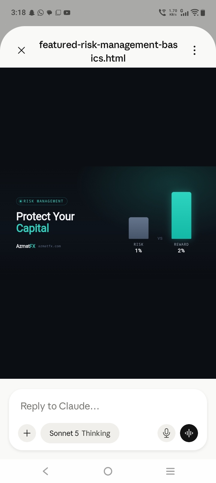 Risk Management Basics for Forex Beginners